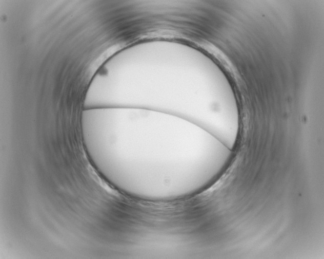 X0000088201337200706051222