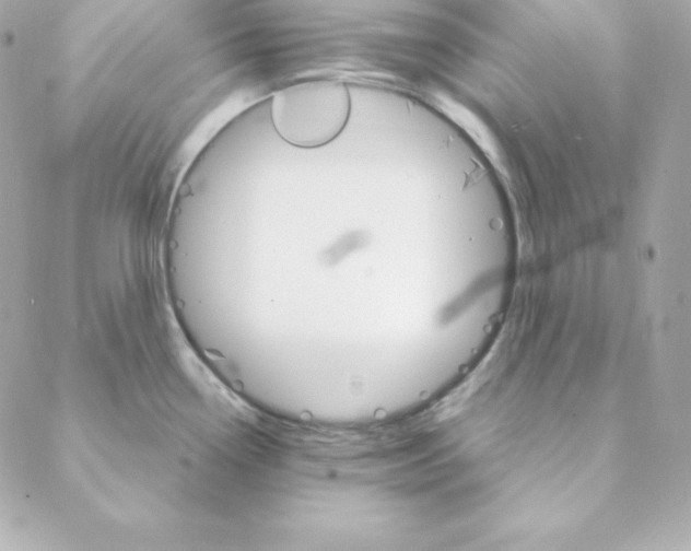 X0000088201338200706051222