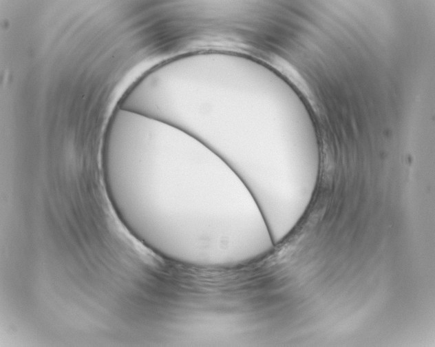 X0000088201339200706051222