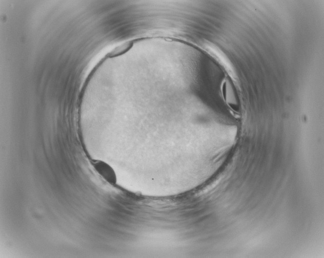 X0000088201340200706051222