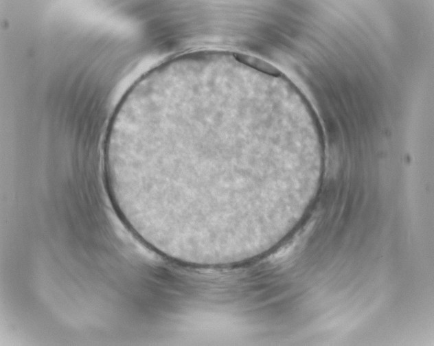 X0000088201341200706051222