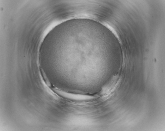 X0000088201342200706051222