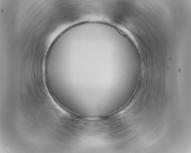 X0000088201343200706051222