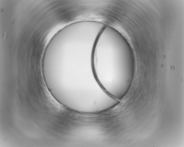 X0000088201344200706051222