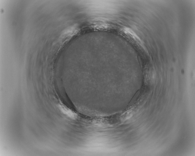 X0000088201345200706051221