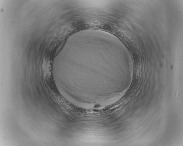 X0000088201346200706051221