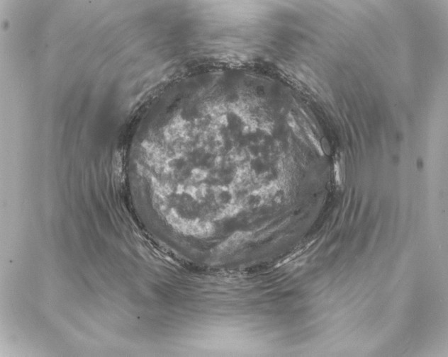 X0000088201347200706051221