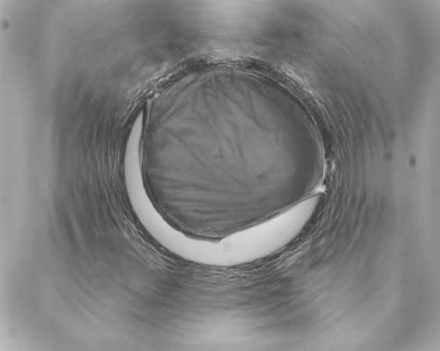 X0000088201348200706051221