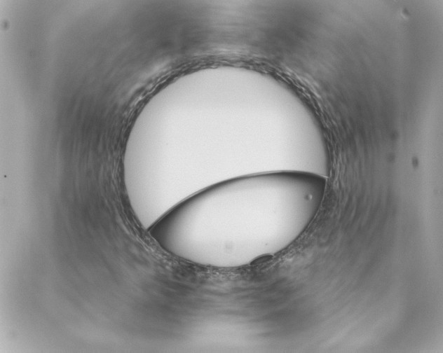 X0000088201349200706051221