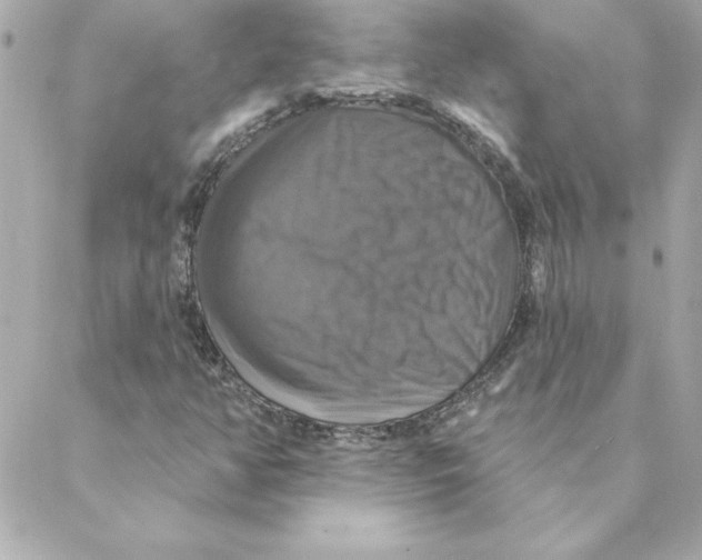 X0000088201350200706051221