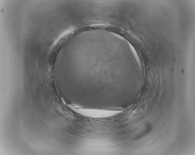 X0000088201351200706051221