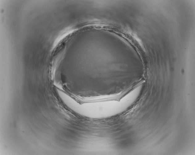 X0000088201352200706051221