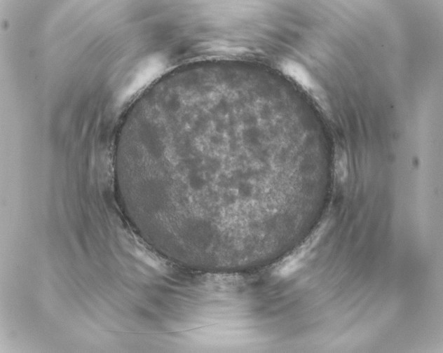 X0000088201354200706051221