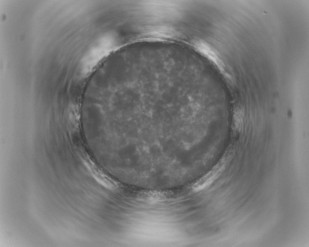 X0000088201355200706051221