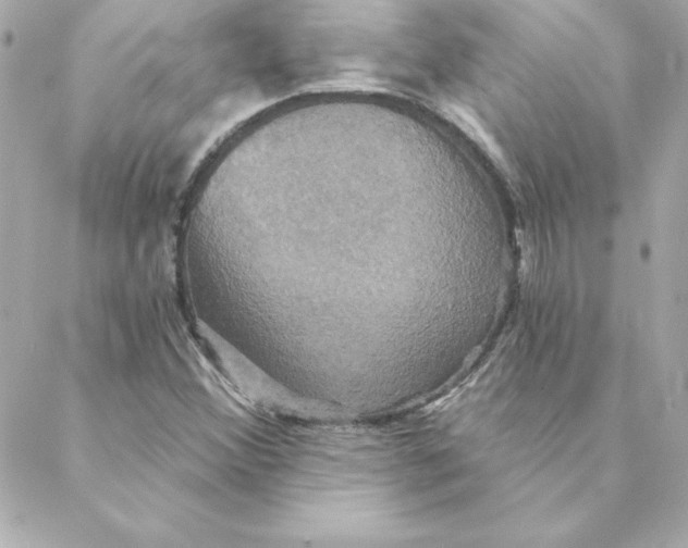 X0000088201356200706051221