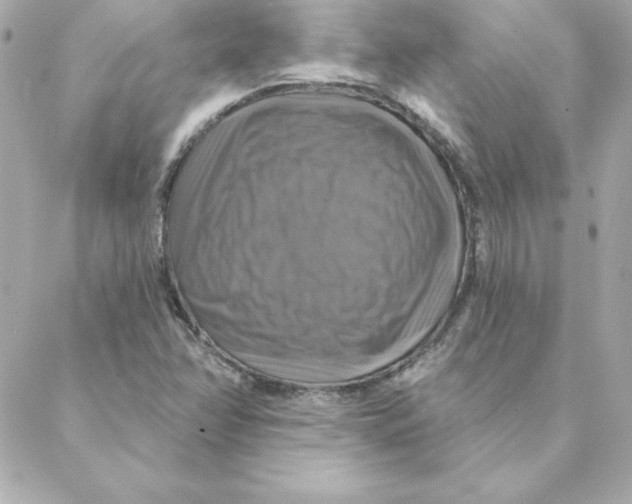 X0000088201358200706051221