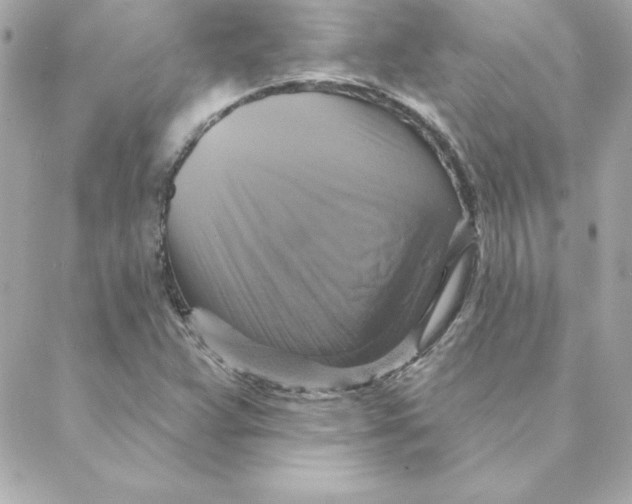 X0000088201359200706051221