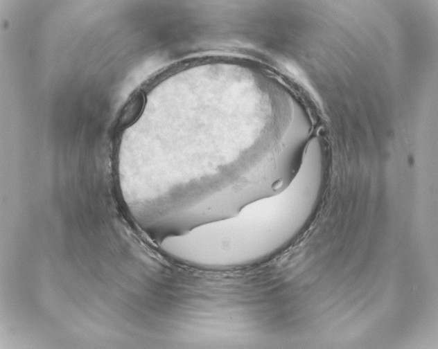 X0000088201360200706051221