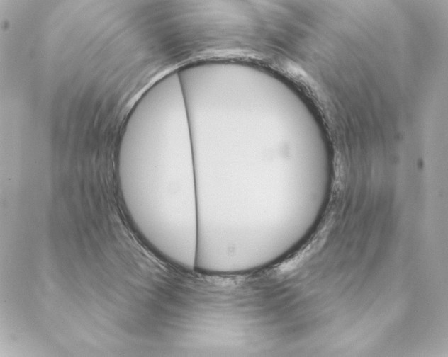 X0000088201361200706051221