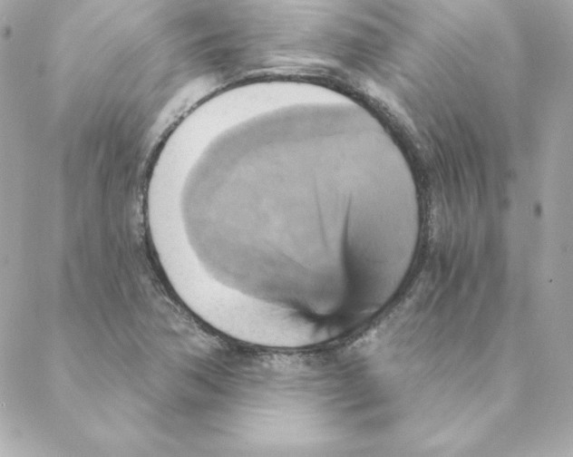 X0000088201362200706051221