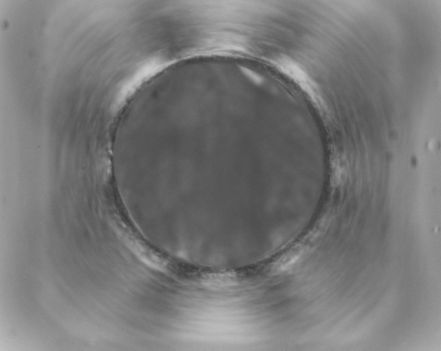 X0000088201363200706051221