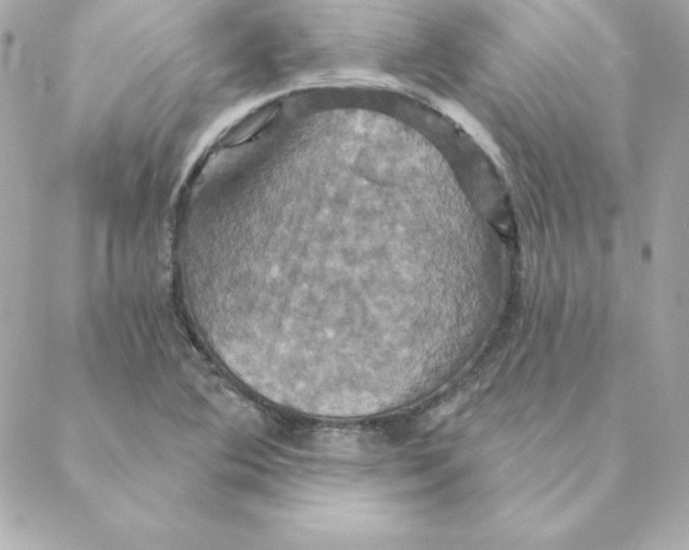 X0000088201364200706051221