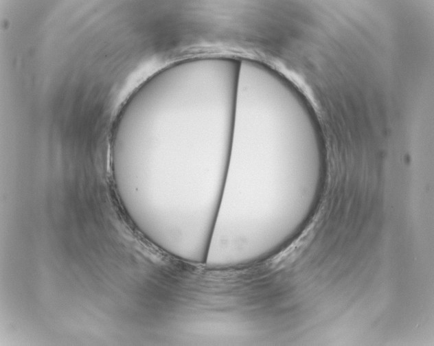 X0000088201365200706051221