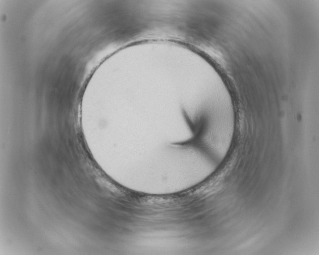 X0000088201366200706051221