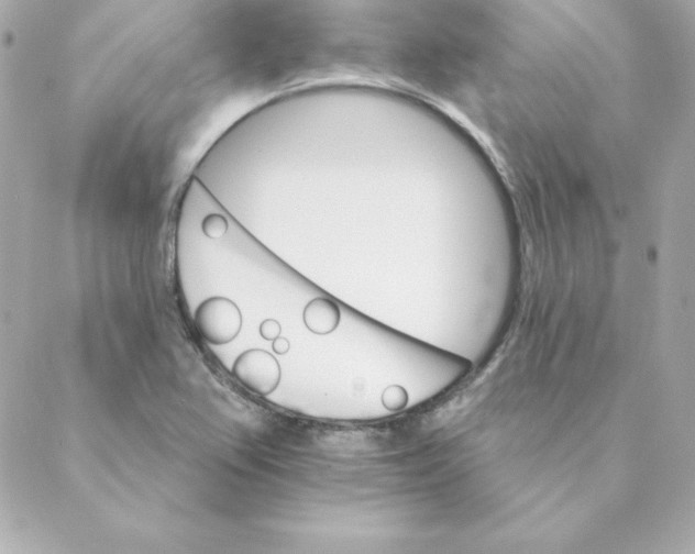 X0000088201367200706051221