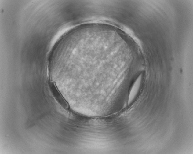 X0000088201368200706051221