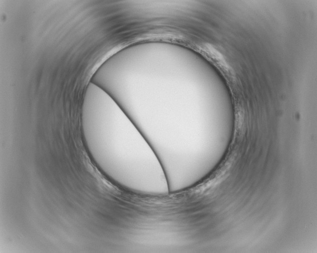 X0000088201369200706051221