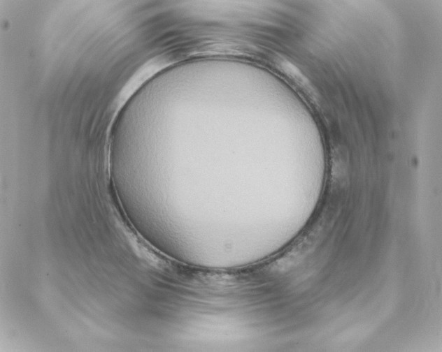 X0000088201370200706051221