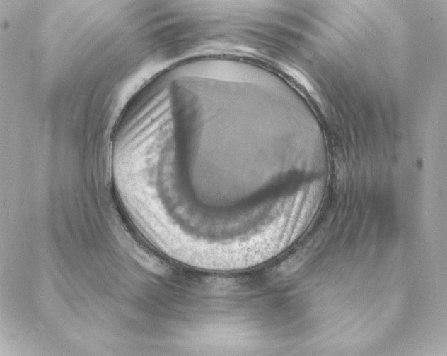 X0000088201371200706051221