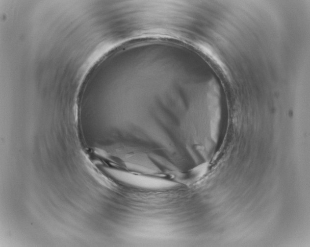 X0000088201372200706051221