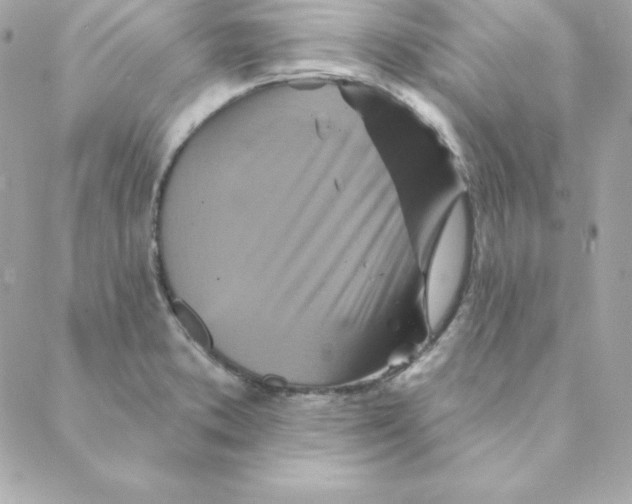 X0000088201373200706051221