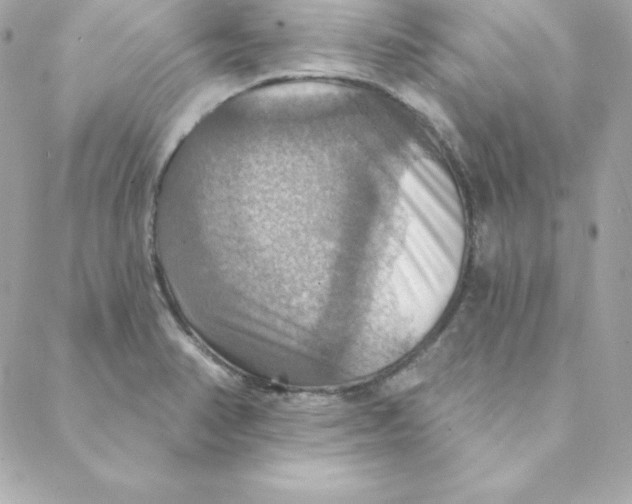 X0000088201374200706051221