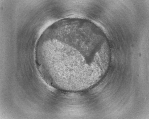 X0000088201375200706051221