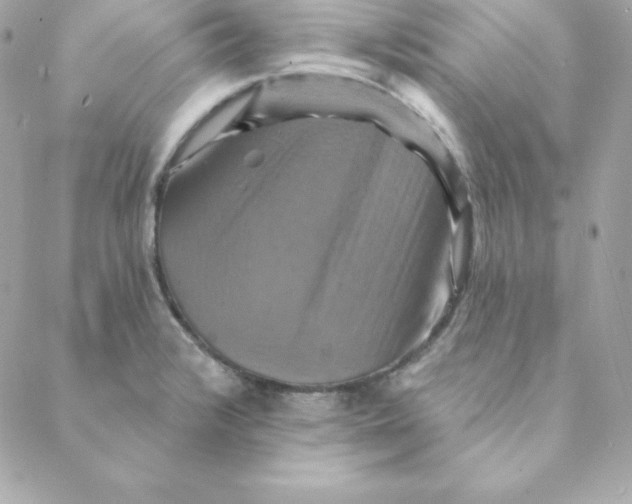 X0000088201376200706051221