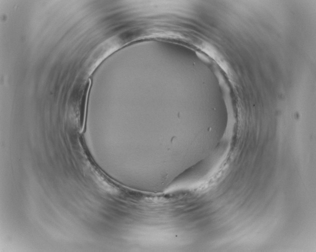 X0000088201377200706051221