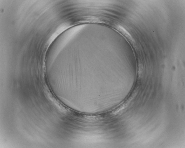 X0000088201378200706051221