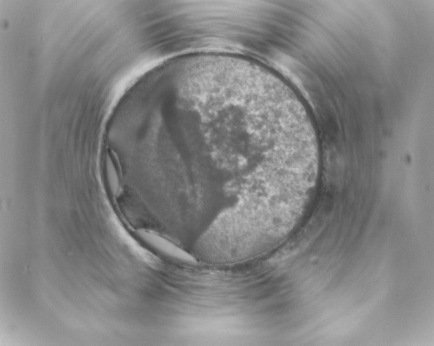 X0000088201379200706051221