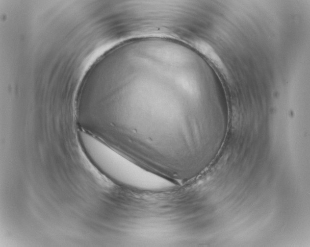 X0000088201380200706051221