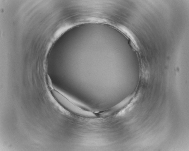 X0000088201381200706051221