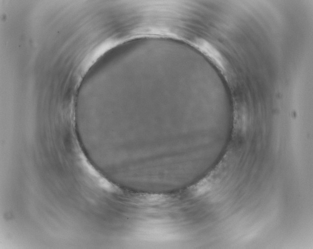 X0000088201382200706051221