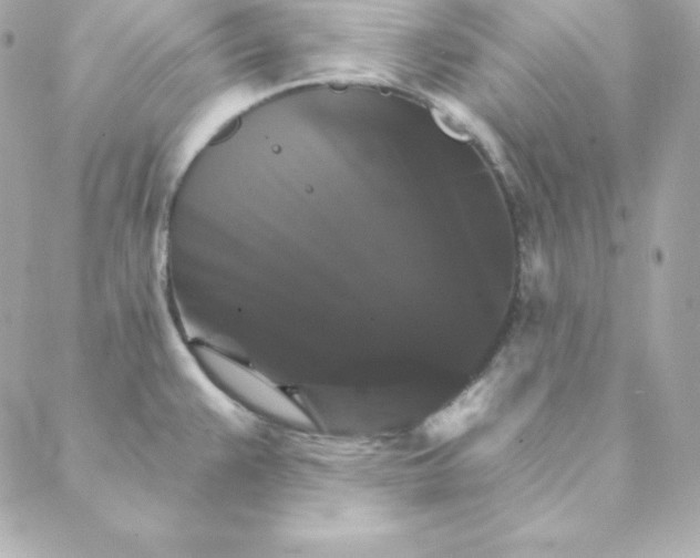 X0000088201383200706051221