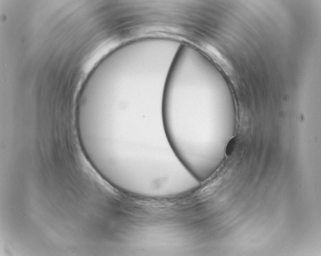 X0000088201384200706051221