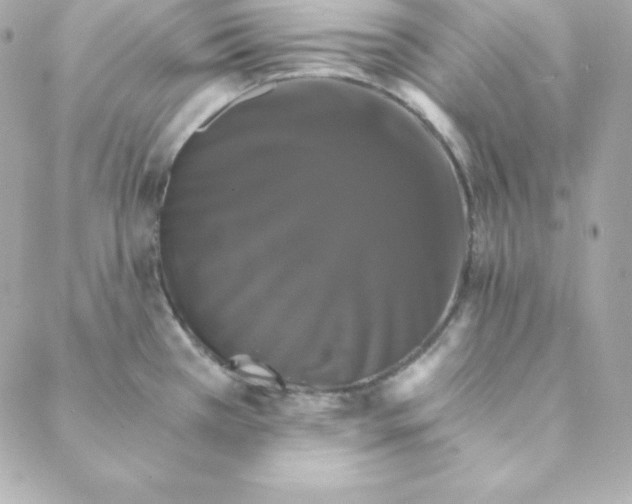 X0000088201385200706051221