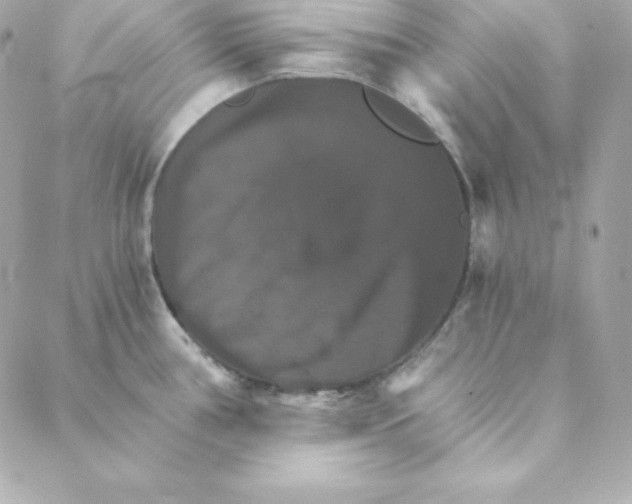 X0000088201386200706051221