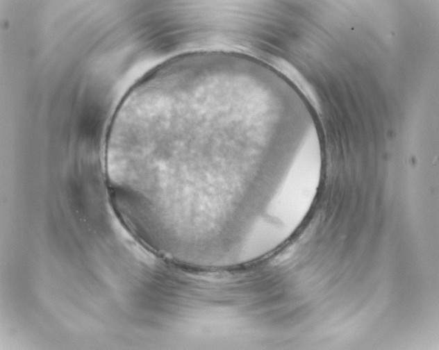 X0000088201388200706051221