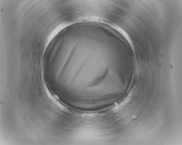 X0000088201389200706051221